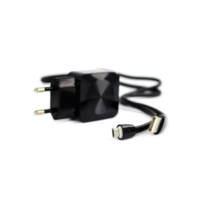 СЗУ Aspor F13C Carbon Series 2.1A/2USB + USB кабель Micro- черный