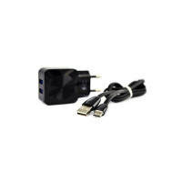 СЗУ Aspor F13C Carbon Series 2.1A/2USB + USB кабель Type-C- черный